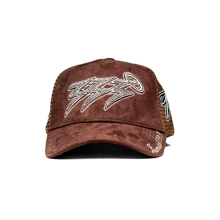 Chaper 6 Brown