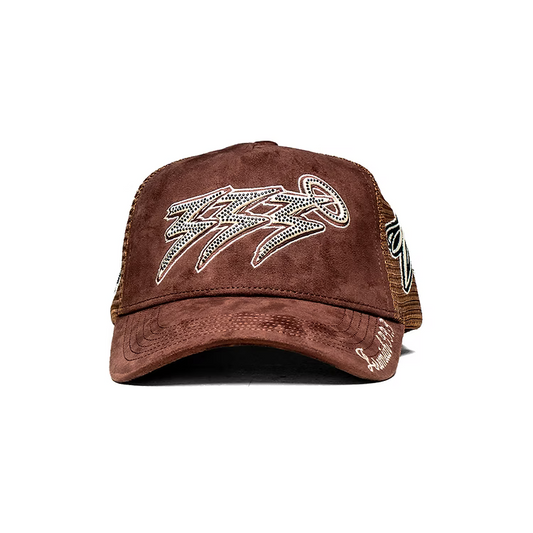 Chaper 6 Brown